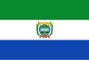 Flag of Guaviare Department.svg