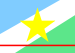 Bandeira de Roraima.svg