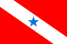 Bandeira do Pará.svg