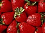 Fresas