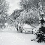 invierno