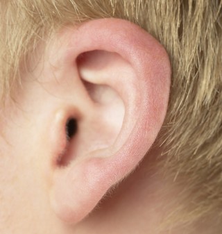 oreja sordera